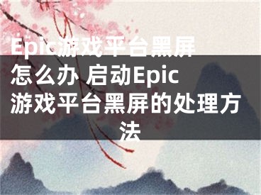 Epic游戲平臺(tái)黑屏怎么辦 啟動(dòng)Epic游戲平臺(tái)黑屏的處理方法