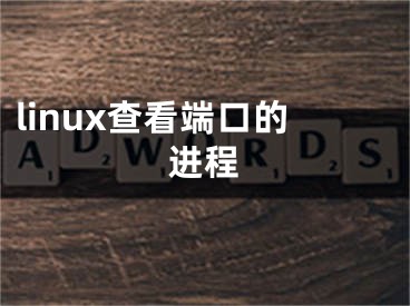 linux查看端口的進(jìn)程