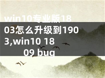 win10專業(yè)版1803怎么升級(jí)到1903,win10 1809 bug