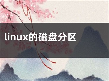 linux的磁盤分區(qū)