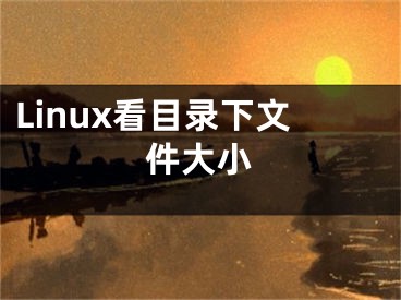 Linux看目錄下文件大小