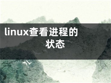 linux查看進(jìn)程的狀態(tài)