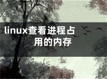 linux查看進程占用的內(nèi)存