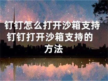 釘釘怎么打開沙箱支持 釘釘打開沙箱支持的方法