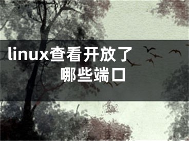 linux查看開放了哪些端口