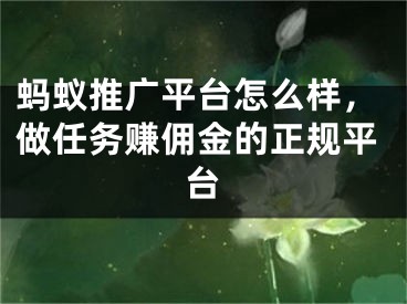 螞蟻推廣平臺怎么樣，做任務(wù)賺傭金的正規(guī)平臺