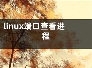 linux端口查看進(jìn)程