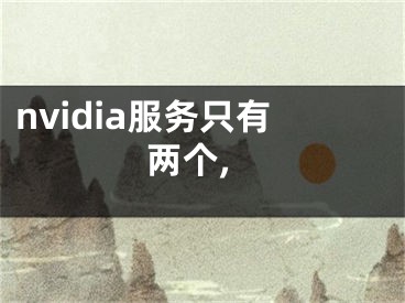 nvidia服務(wù)只有兩個,