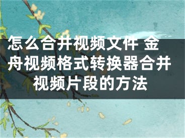 怎么合并視頻文件 金舟視頻格式轉(zhuǎn)換器合并視頻片段的方法