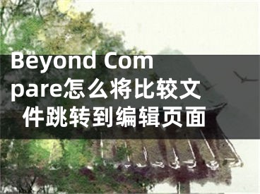 Beyond Compare怎么將比較文件跳轉(zhuǎn)到編輯頁面 