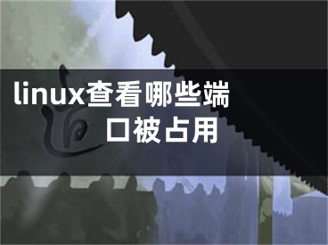 linux查看哪些端口被占用