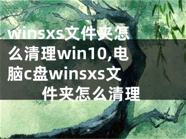 winsxs文件夾怎么清理win10,電腦c盤(pán)winsxs文件夾怎么清理