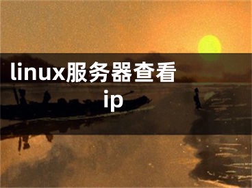 linux服務(wù)器查看ip