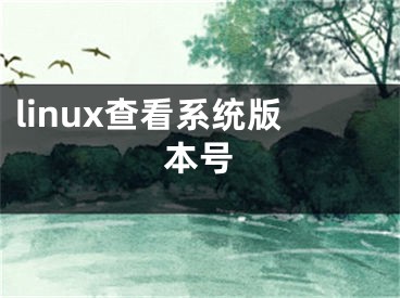 linux查看系統(tǒng)版本號