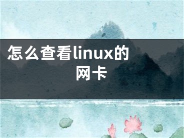 怎么查看linux的網(wǎng)卡