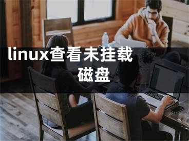 linux查看未掛載磁盤