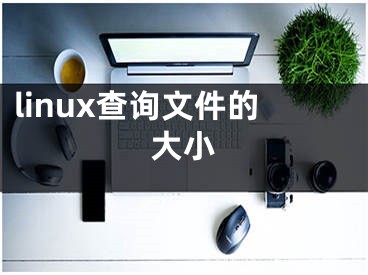 linux查詢文件的大小