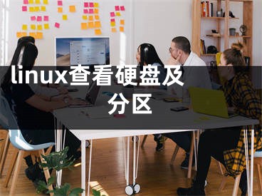 linux查看硬盤及分區(qū)