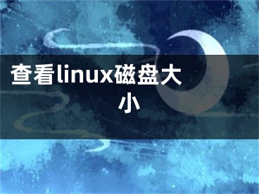 查看linux磁盤大小