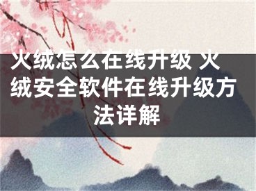 火絨怎么在線升級 火絨安全軟件在線升級方法詳解