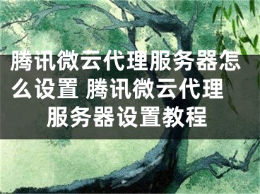 騰訊微云代理服務(wù)器怎么設(shè)置 騰訊微云代理服務(wù)器設(shè)置教程