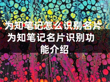 為知筆記怎么識別名片 為知筆記名片識別功能介紹