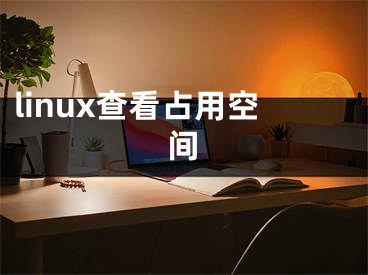 linux查看占用空間