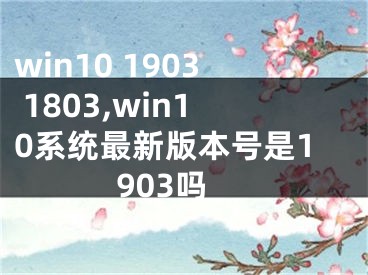 win10 1903 1803,win10系統(tǒng)最新版本號是1903嗎