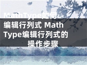 MathType如何編輯行列式 MathType編輯行列式的操作步驟