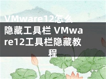 VMware12怎么隱藏工具欄 VMware12工具欄隱藏教程