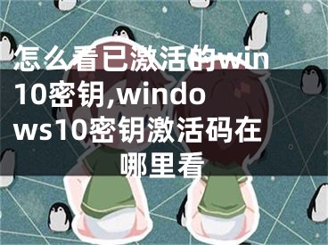 怎么看已激活的win10密鑰,windows10密鑰激活碼在哪里看