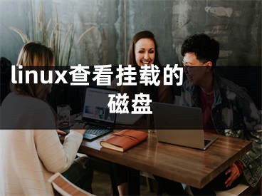 linux查看掛載的磁盤