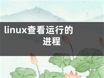 linux查看運(yùn)行的進(jìn)程