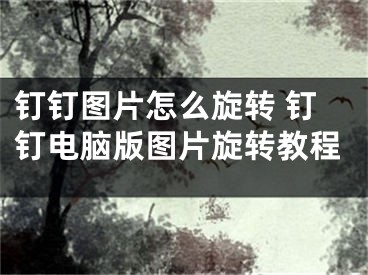 釘釘圖片怎么旋轉(zhuǎn) 釘釘電腦版圖片旋轉(zhuǎn)教程