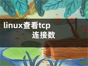 linux查看tcp連接數(shù)