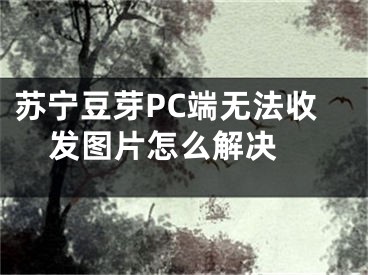 蘇寧豆芽PC端無法收發(fā)圖片怎么解決 