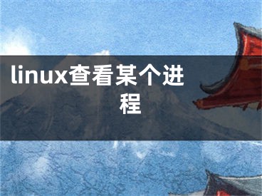 linux查看某個進程