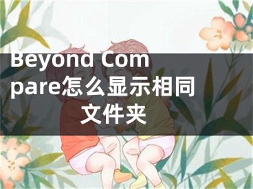 Beyond Compare怎么顯示相同文件夾 