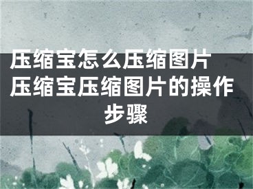 壓縮寶怎么壓縮圖片 壓縮寶壓縮圖片的操作步驟