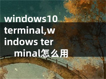 windows10 terminal,windows terminal怎么用