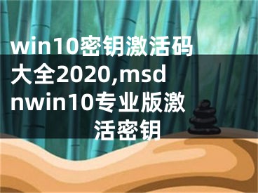 win10密鑰激活碼大全2020,msdnwin10專業(yè)版激活密鑰