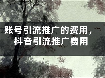 賬號(hào)引流推廣的費(fèi)用，抖音引流推廣費(fèi)用