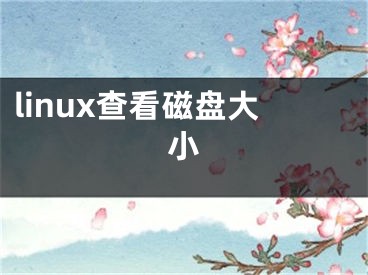 linux查看磁盤(pán)大小