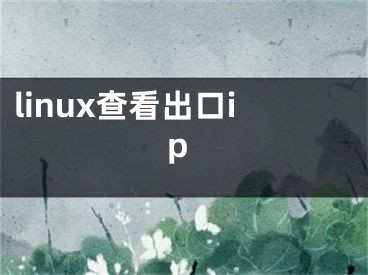 linux查看出口ip