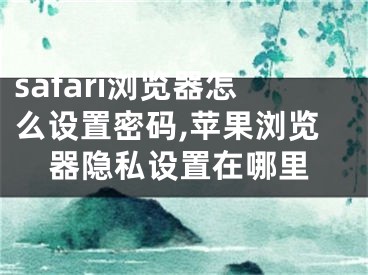 safari瀏覽器怎么設置密碼,蘋果瀏覽器隱私設置在哪里