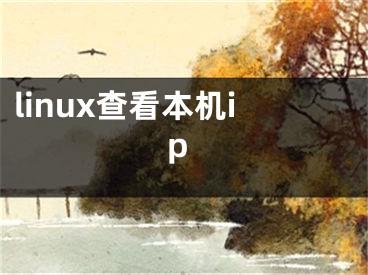 linux查看本機(jī)ip