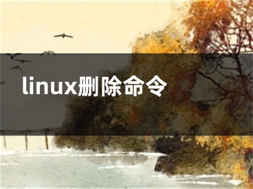 linux刪除命令