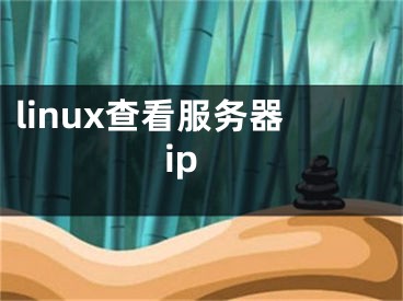 linux查看服務(wù)器ip