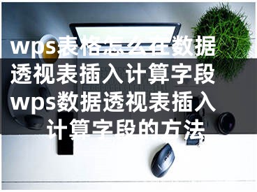 wps表格怎么在數據透視表插入計算字段 wps數據透視表插入計算字段的方法