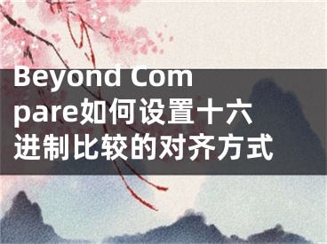 Beyond Compare如何設(shè)置十六進制比較的對齊方式 